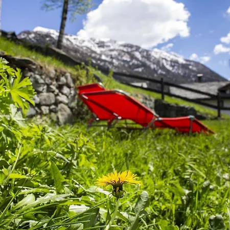 Petite Sophie Studio Apartment Valtournenche